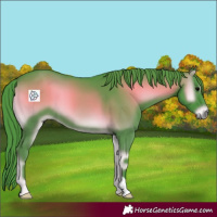 Horse Color:Watercolor Blue Onyx 