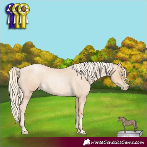 Horse Color:Gold Cream Champagne Roan Pearl 