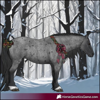 Horse Color:Blue Roan Rabicano 