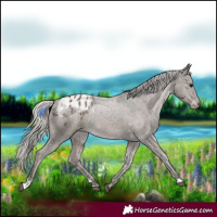 Horse Color:Silver Black Blanket 