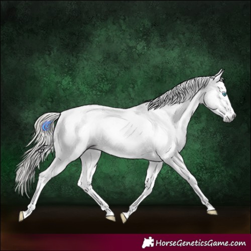 Horse Color:Gray White Spotted Liver Chestnut Splash Varnish 