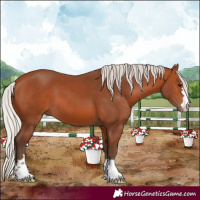 Horse Color:Silver Bay 