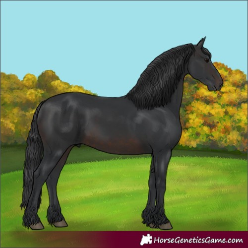 Horse Color:Brown Rabicano 