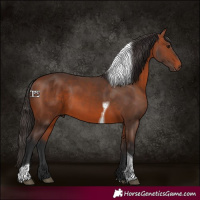 Horse Color:Bay Tobiano Rabicano
