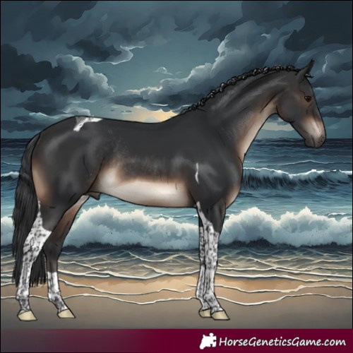 Horse Color:Brown Tobiano Rabicano 