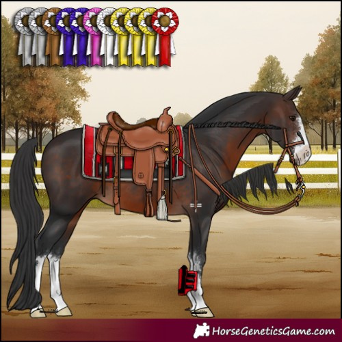 Horse Color:Brown 