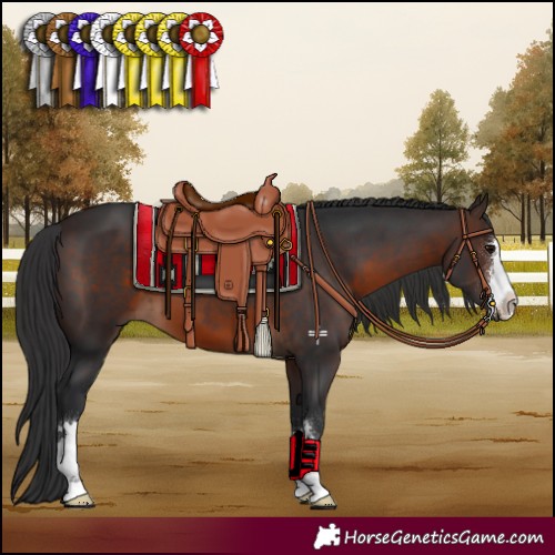 Horse Color:Brown 