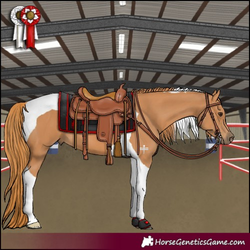 Horse Color:Chestnut Tobiano 