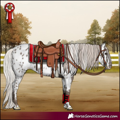 Horse Color:Silver Black Near Leopard 