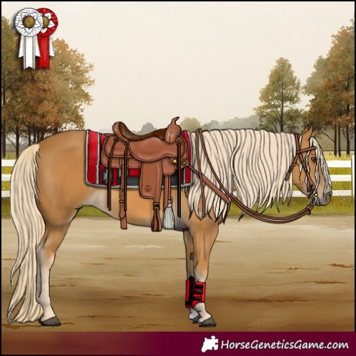 Horse Color:Palomino 