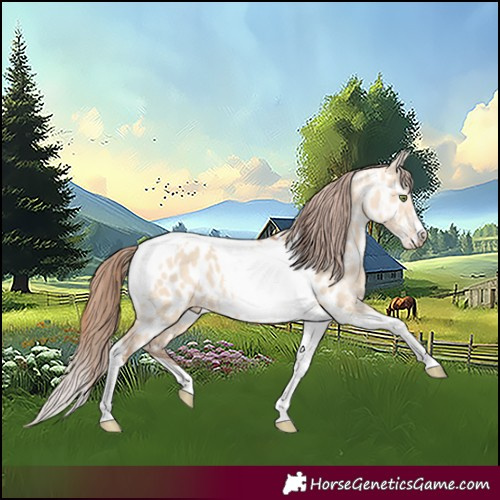Horse Color:Amber Champagne Dun Tobiano Frame Appaloosa 