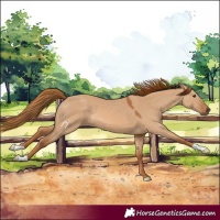 Horse Color:Red Dun