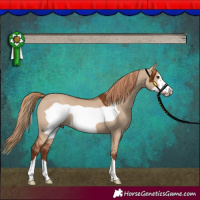 Horse Color:Red Dun Frame 