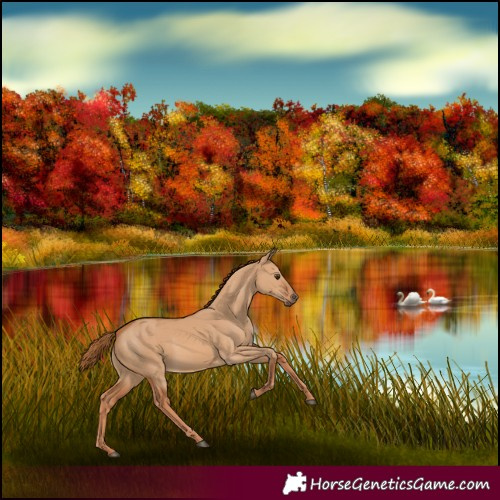 Horse Color:Red Dun 