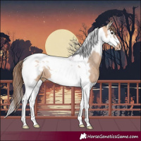 Horse Color:Bay Dun Splash Tobiano Frame Varnish