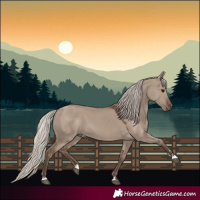 Horse Color:Silver Grullo