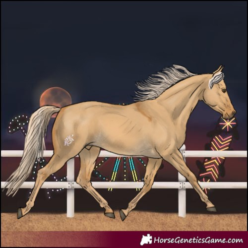 Horse Color:Palomino Dun 