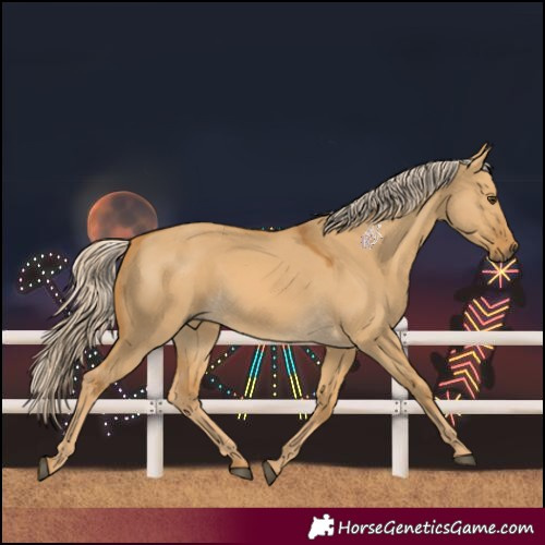 Horse Color:Palomino Dun 