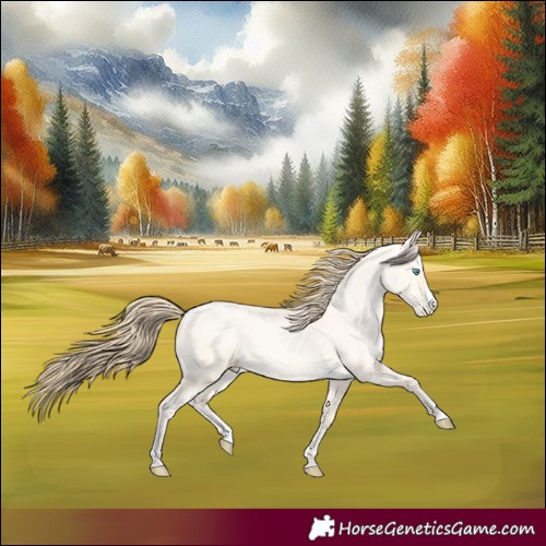 Horse Color:Buckskin Pearl Dun