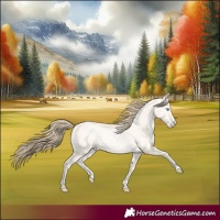 Horse Color:Buckskin Pearl Dun 