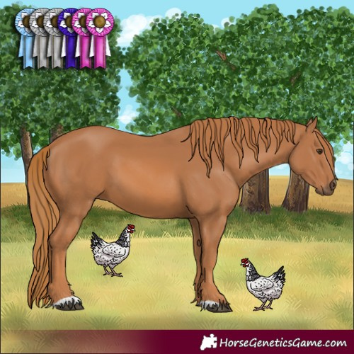 Horse Color:Chestnut 