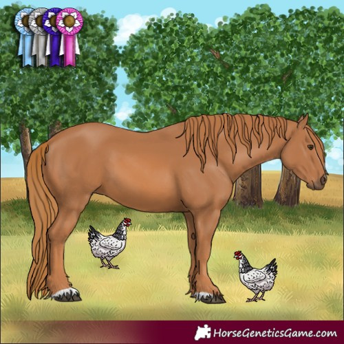 Horse Color:Chestnut 