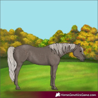 Horse Color:Silver Black 
