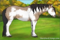 Horse Color:Bay Roan Dun Splash Frame 