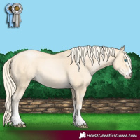 Horse Color:Palomino Pearl 