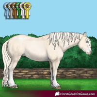 Horse Color:Palomino Pearl 