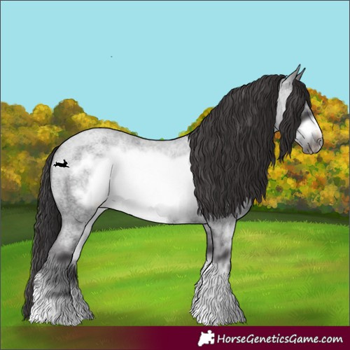 Horse Color:Smoky Blue Roan Sabino Frame 