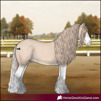 Horse Color:Perlino Splash 