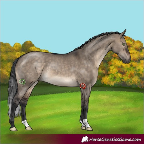 Horse Color:Brown Dun 