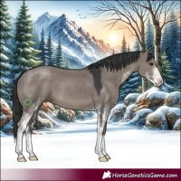 Horse Color:Grullo Sabino