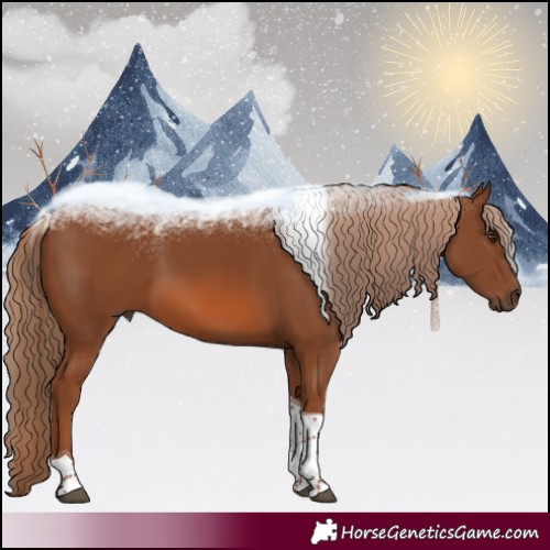Horse Color:Chestnut Tobiano 