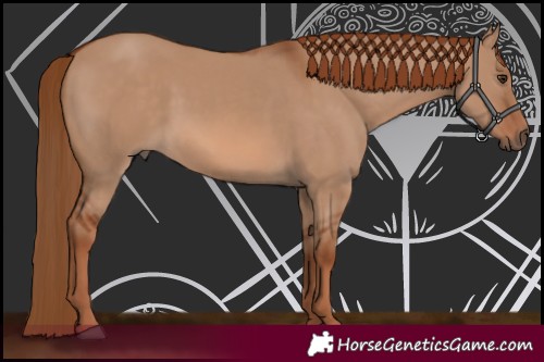Horse Color:Red Dun 