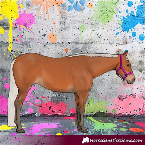 Horse Color:Silver Bay 