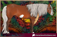 Horse Color:Silver Bay Frame 