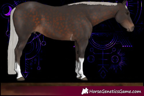 Horse Color:Silver Brown Tobiano 