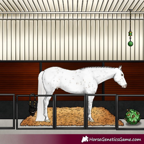 Horse Color:Silver Brown Dun Sabino 