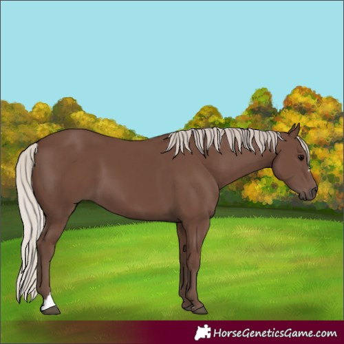 Horse Color:Silver Black 