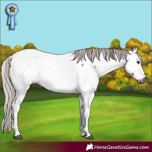 Horse Color:Gray Silver Brown Dun Fewspot 