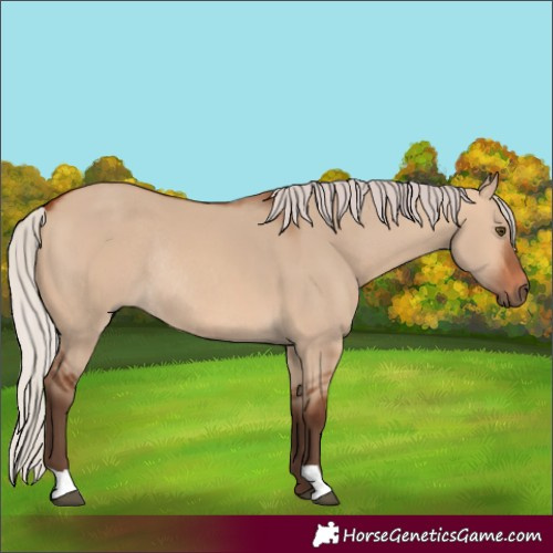Horse Color:Silver Bay Dun Rabicano 