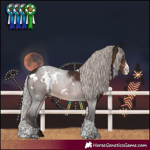 Horse Color:White Spotted Silver Brown Sabino 