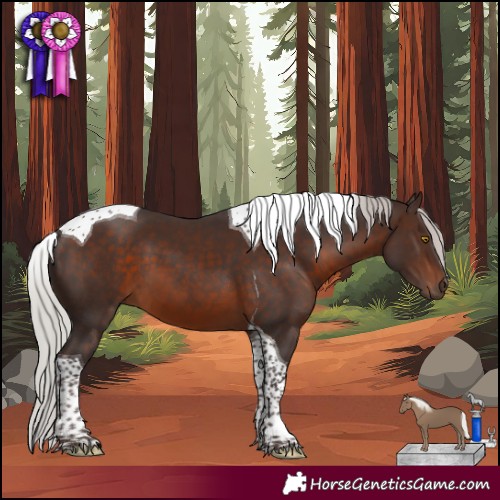 Horse Color:Silver Brown Mushroom Tobiano 