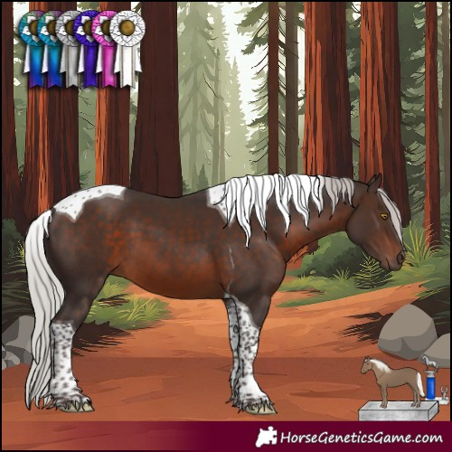 Horse Color:Silver Brown Mushroom Tobiano 