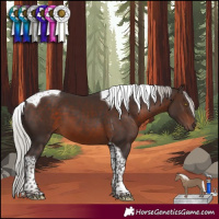 Horse Color:Silver Brown Mushroom Tobiano