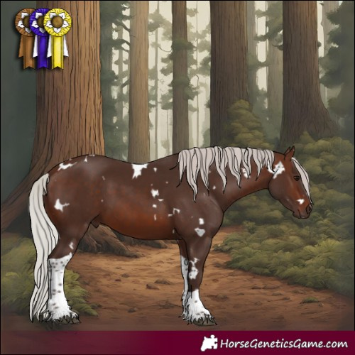 Horse Color:White Spotted Silver Brown Tobiano 