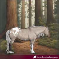 Horse Color:Silver Brown Dun Tobiano Blanket 