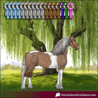 Horse Color:Silver Bay Dun Tobiano